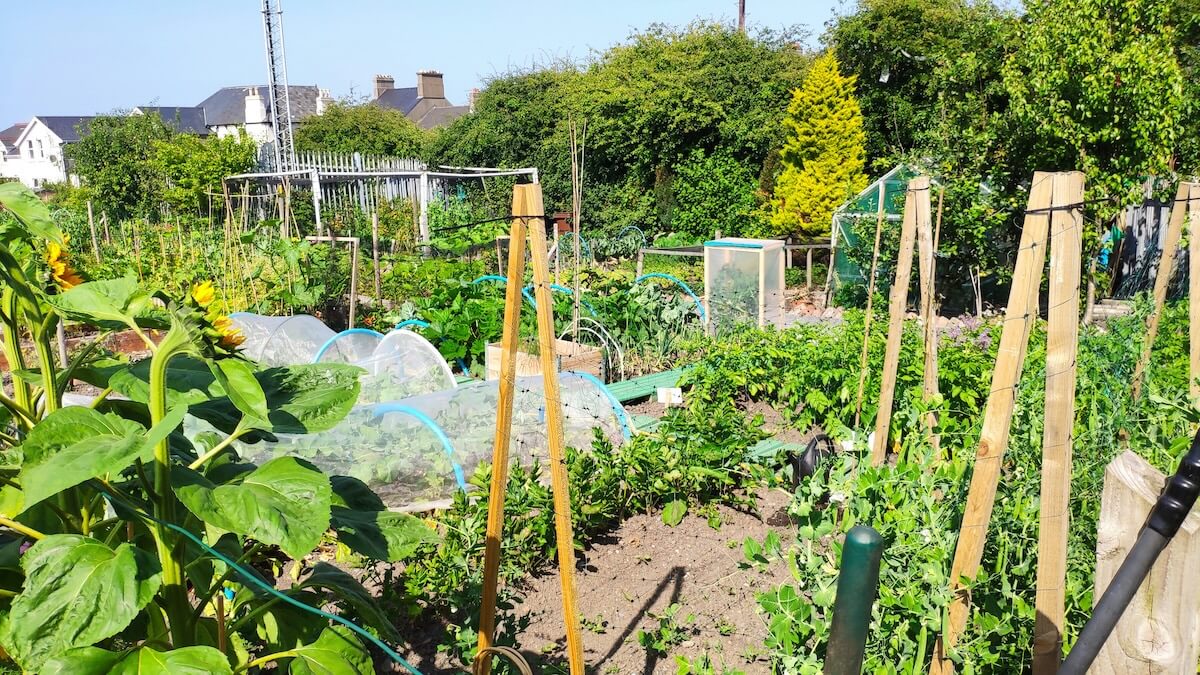 equitable neighborhoods with community gardens