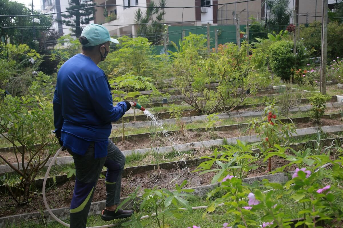 Person waters a garden - regenerative cities